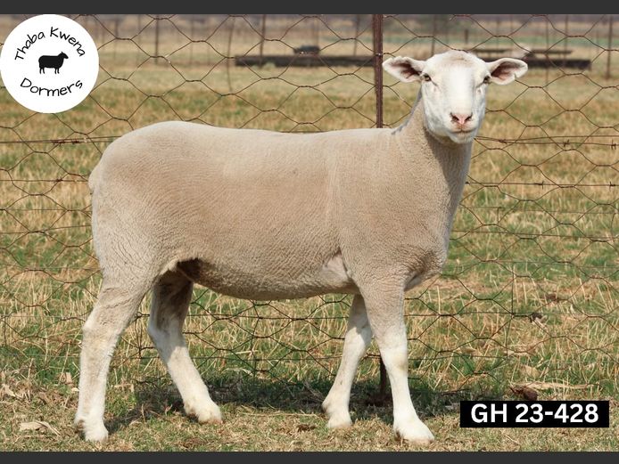 GH 230428 | THABA KWENA DORMERS