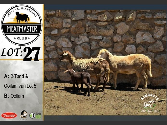 Ooie | Kimonate Meatmasters