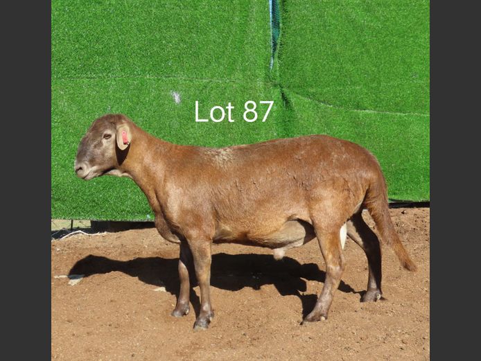 KI2213 | Groep 3