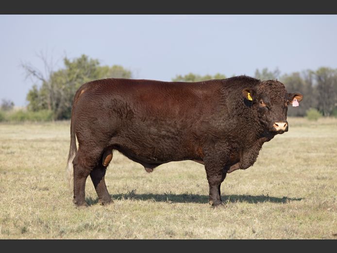SF230007 | SKIETLAAGTE FARMS PTY LTD
