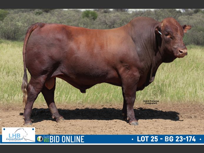 BG 230174 | LEEUHEUWEL BOERDERY (EDMS) BPK