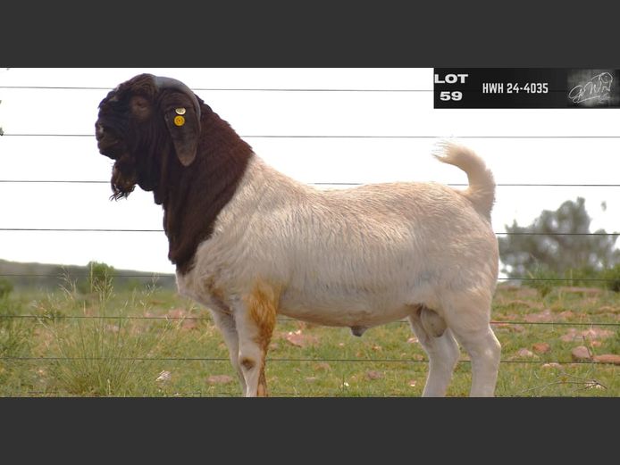 24-4035 HWH | GERT VAN WYK