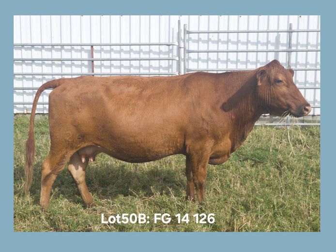 FG 14 126