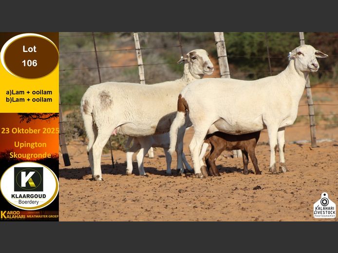 CP 106A | Chris Potgieter & Christia Scholtz - Klaargoud Boerdery