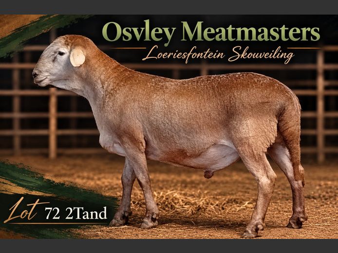 Osvley Meatmasters