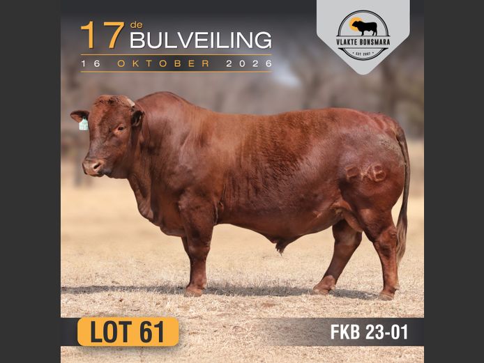 FKB230001 | FRITS KROON BOERDERY