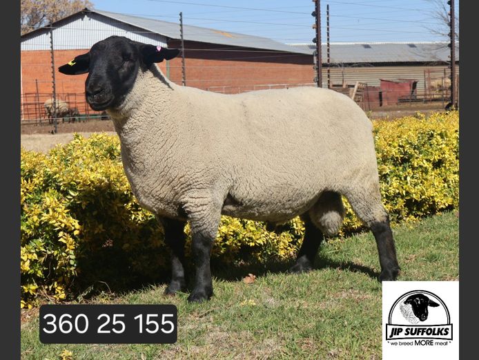 360250155 | J.I. POTGIETER