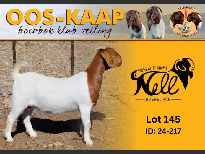 24-217 | Sakkie en Nicky Nell Boerbokke