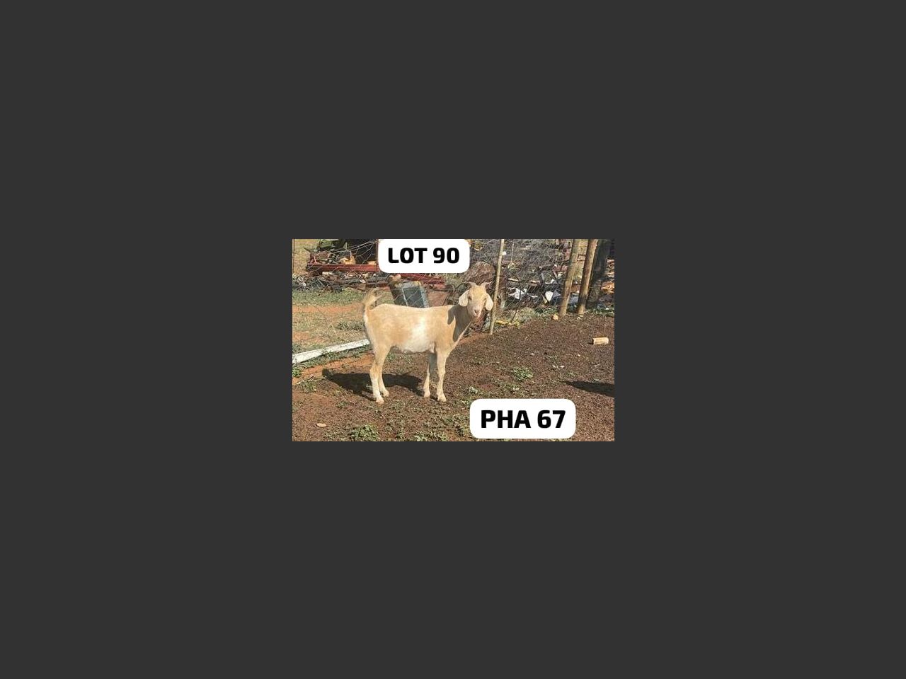 images