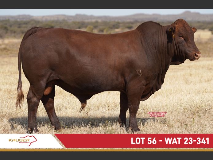 WAT230341 | KRUGER BOERDERY