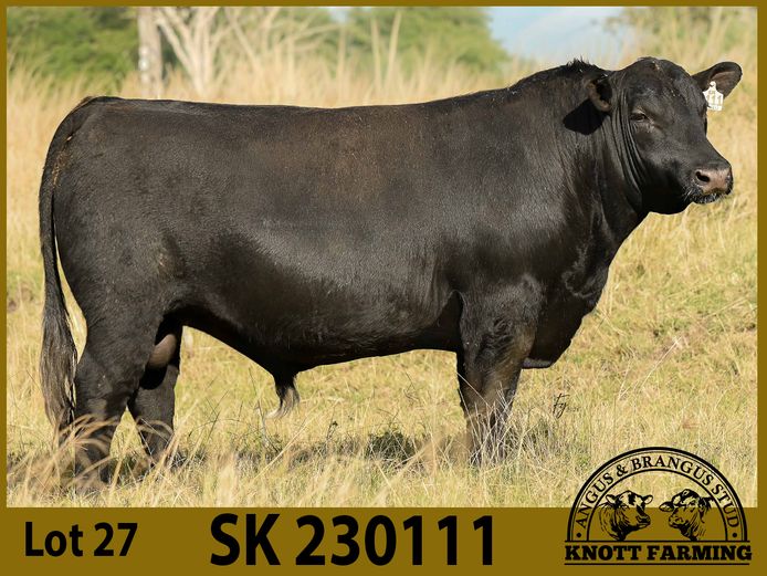 SK 230111 | KNOTT FARMING (PTY) LTD