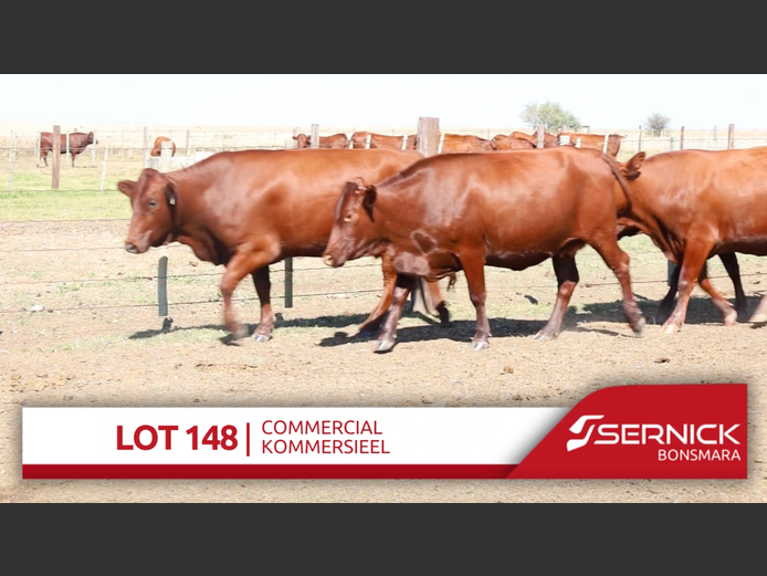 Commercial Animals