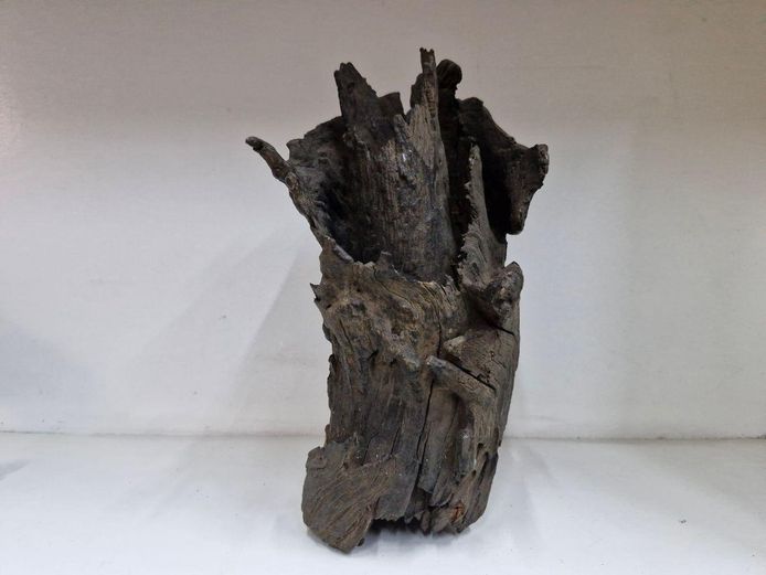 Abstract Driftwood Root Carving Ornamental Sculpture