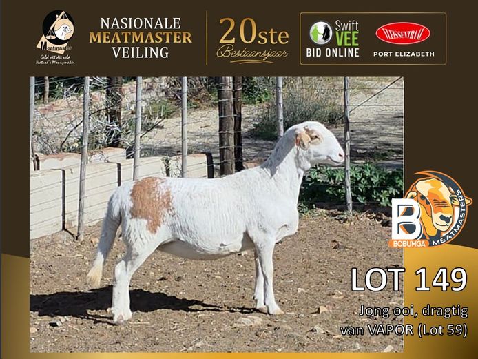 BOB 0923 | Bobumga Meatmasters