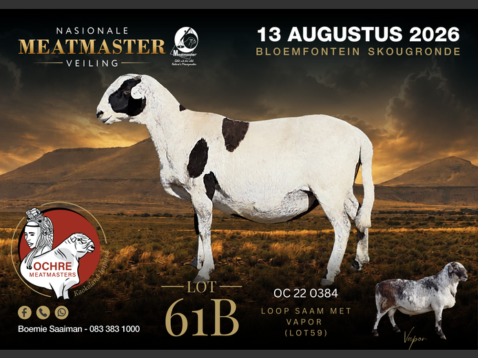 OC 22 0384 | Ochre Meatmasters