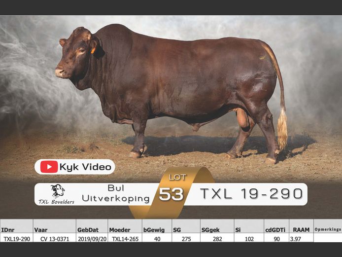 TXL19-290