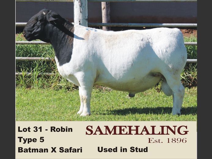 24218-330 | SAMEHALING DORPERS