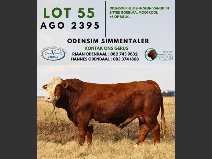 AGO2395 | AG ODENDAAL