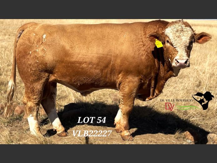 VLB22227 | DE VILLE BOERDERY (EDMS) BPK