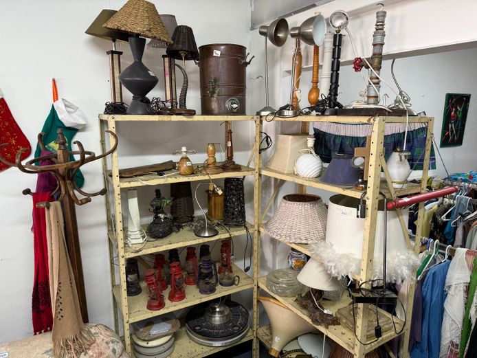 Lot of Lamps (1) (Shelving Excluded) 