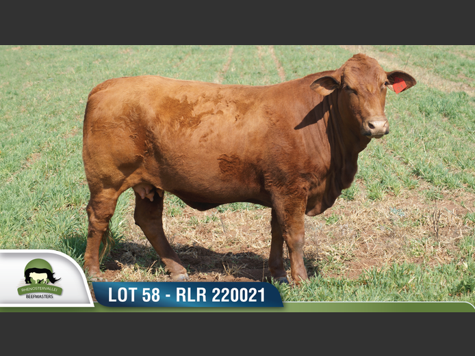 RLR 220021 | RHENOSTERVALLEI