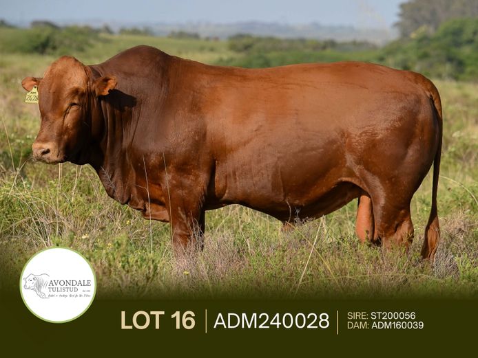 ADM240028 | A.D. MULLINS