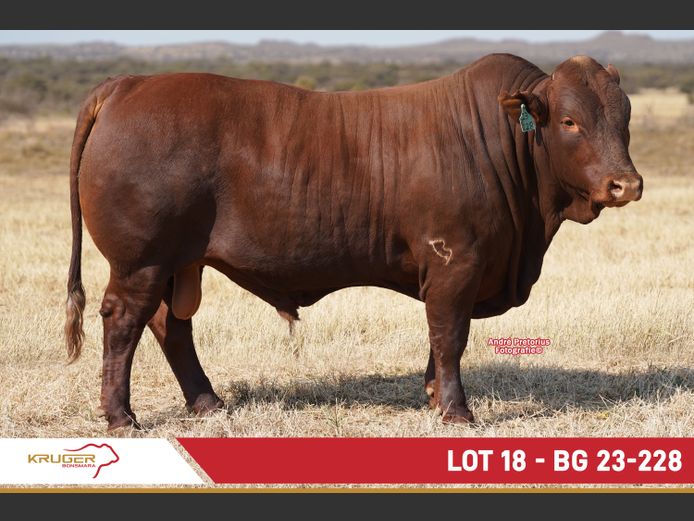 BG230228 | KRUGER BOERDERY