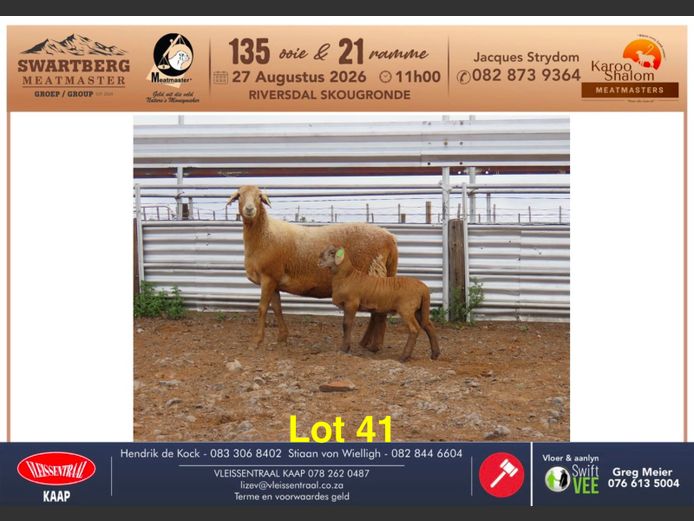 B25.12 | KAROO SHALOM