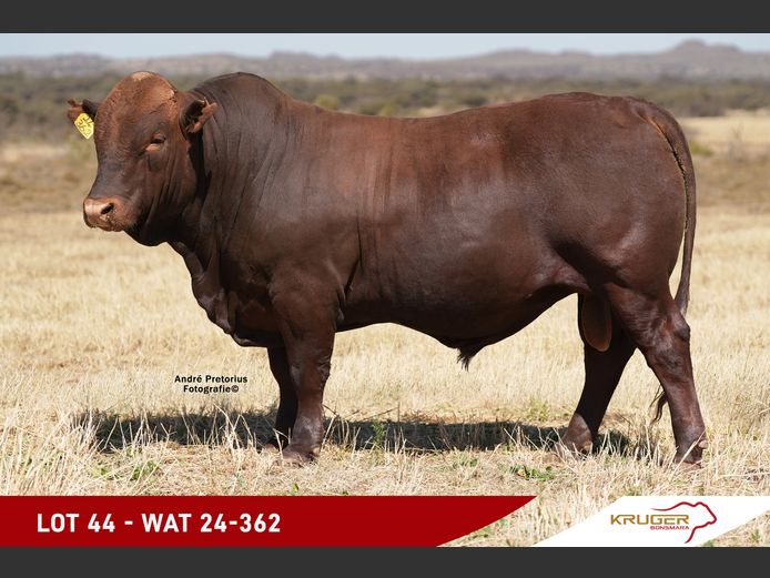 WAT240362 | KRUGER BOERDERY