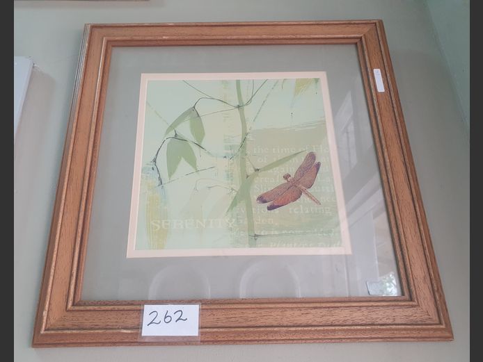 LIGHTWOOD FRAMED PRINT "DRAGON FLY", 29 x 29cm