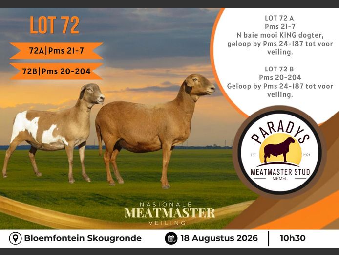 PMS 20 0204 | PARADYS MEATMASTER STOET
