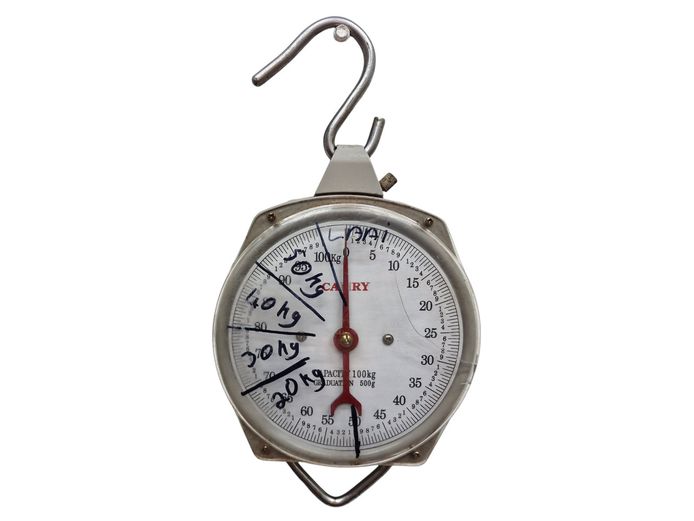 Vintage Camry 100kg Heavy-Duty Hanging Dial Scale