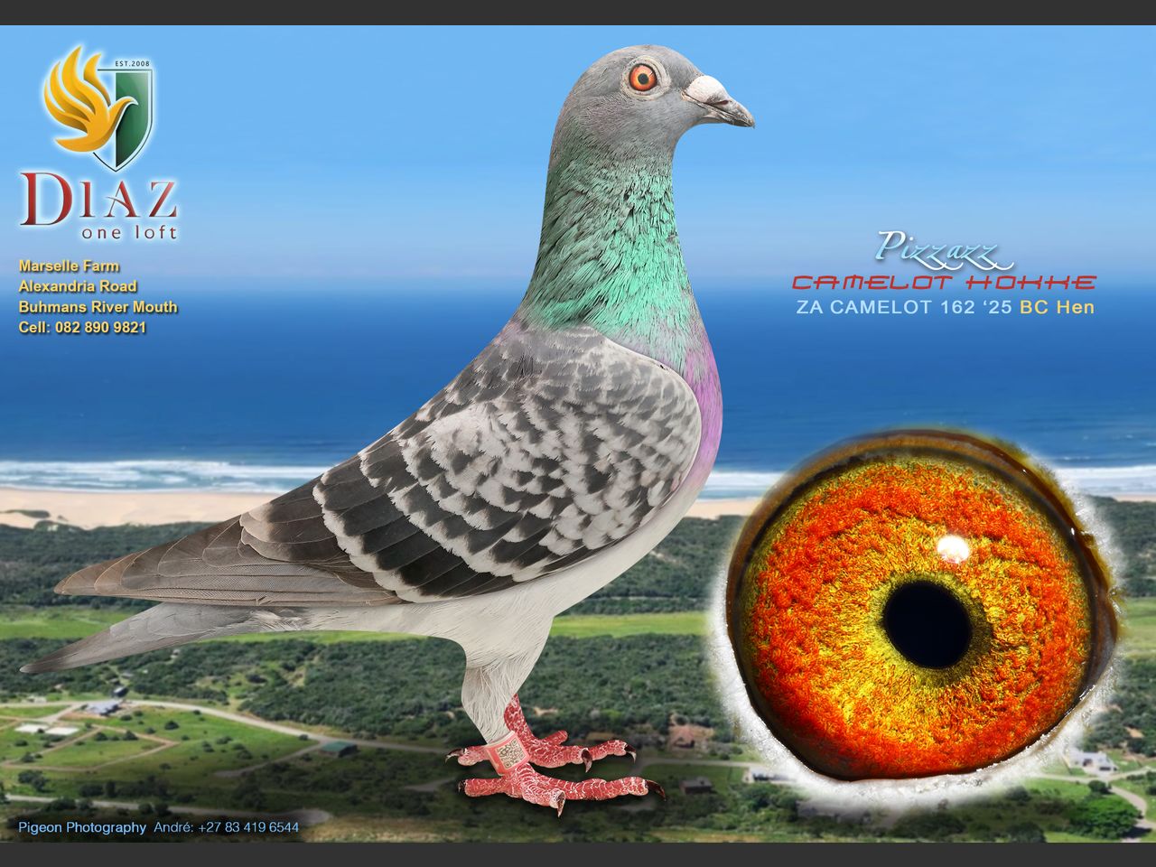 images