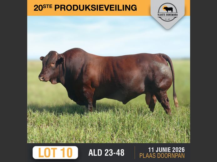 ALD230048 | ALDIGO BONSMARAS