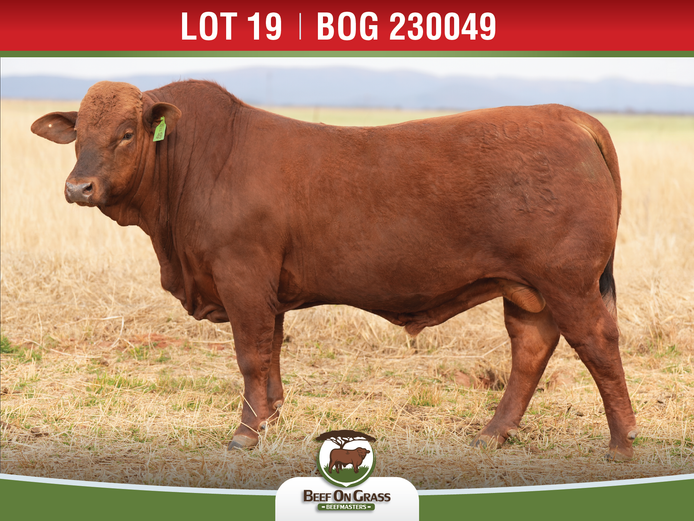 BOG 230049 | BEEF ON GRASS PTY LTD