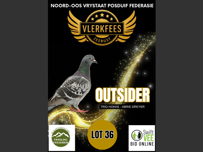 OUTSIDER | TRIO HOKKE - ABRIE DREYER