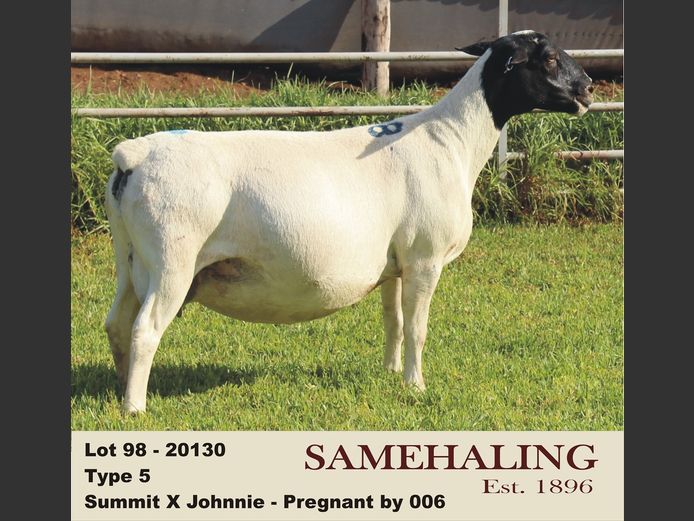 20130-330 | SAMEHALING DORPERS