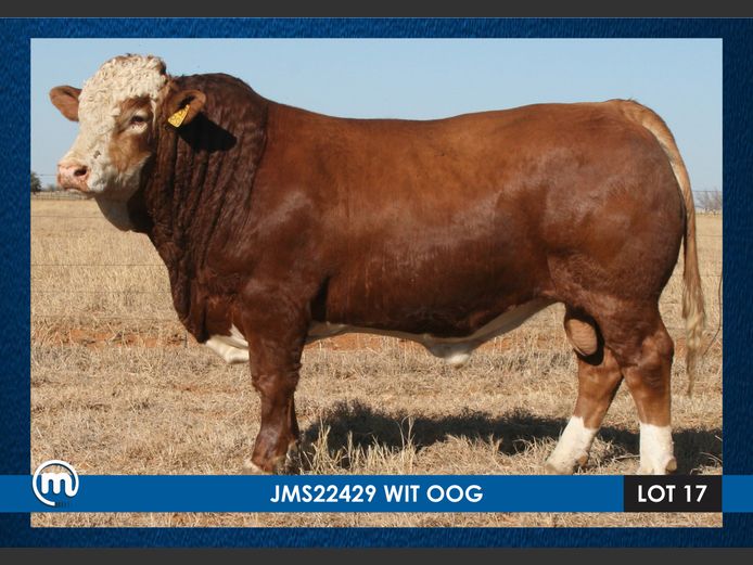 JMS23294