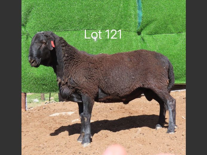 KI2193 | Groep 3