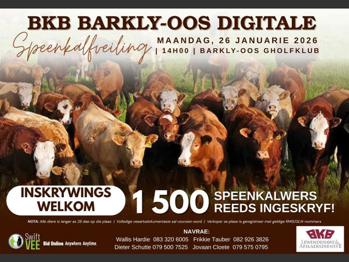 BKB BARKLY OOS DIGITALE SPEENKALFVEILING