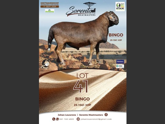 25-1561HJP | Sorento Meatmasters
