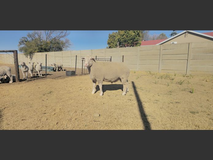 23-0089EAG | HENK & ANJA HARMSE 