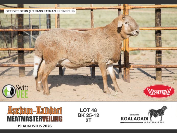 BK 25-12 | BARRI KNOETZE