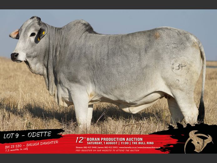 BH 230530 | HURWITZ FARMING