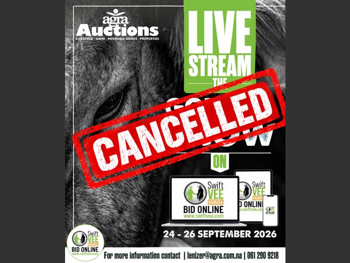GOBABIS SHOW 2026