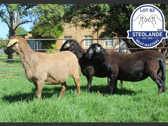 SLB24-061 | Steolande Boerdery