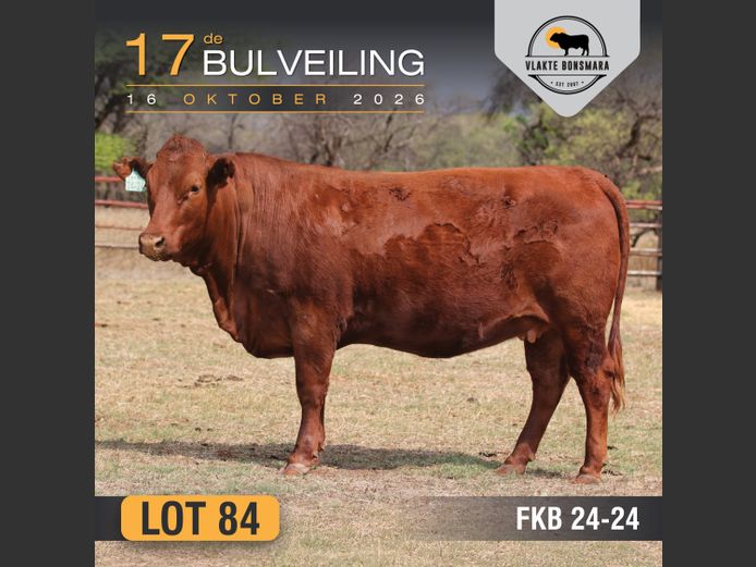FKB240024 | FRITS KROON BOERDERY