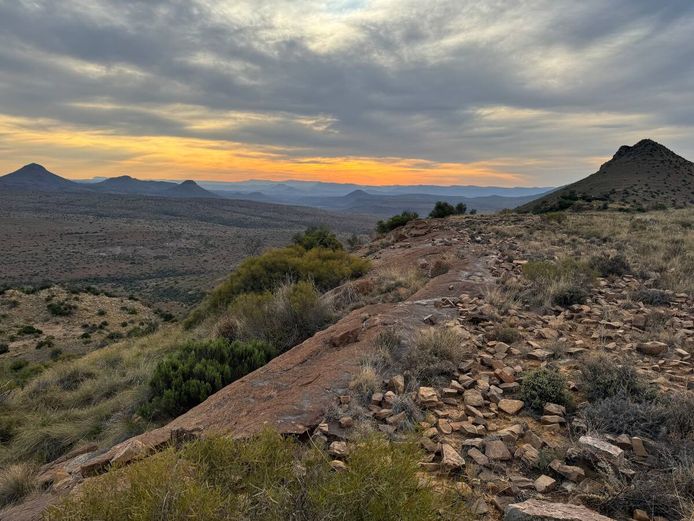 Trophy Hunt for 1 Black Wildebeest and 1 Common Springbuck.  2026 Hunting Season | Wolwekloof Karoo