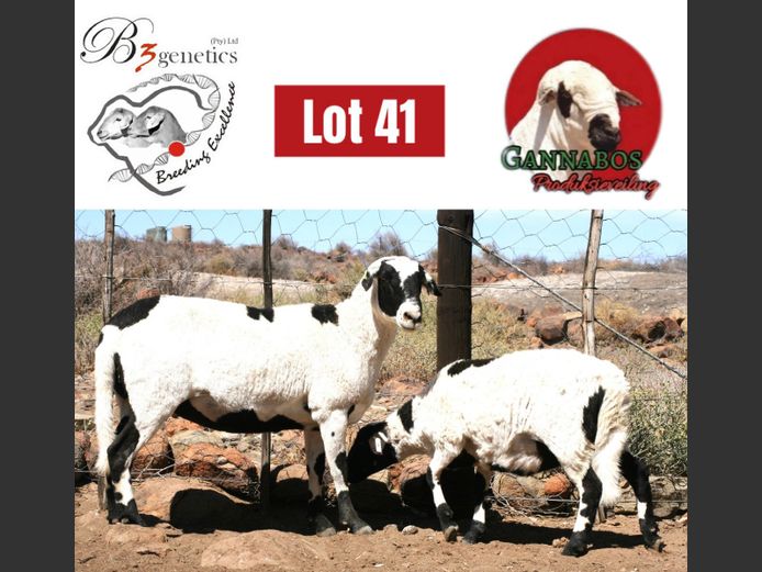 BBB23-0028 | B3genetics Pty Ltd