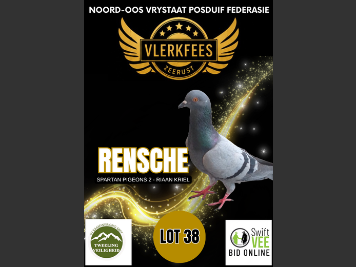 RENSCHE | SPARTAN PIGEONS 2 - RIAAN KRIEL